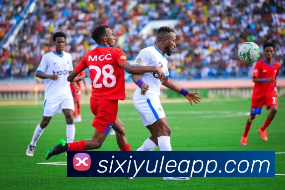 App Interface Preview